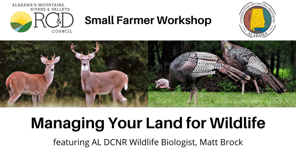 Managing Your Land for Wildlife